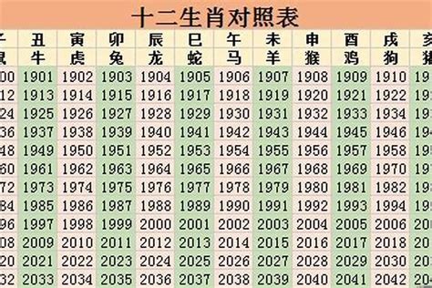 2024年什麼生肖|2024年是属什么年 2024年是甲辰龙年